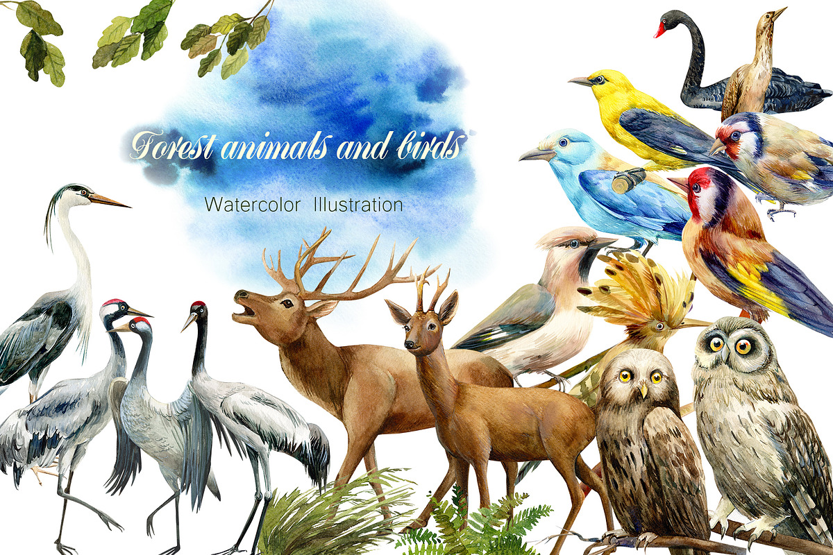 Forest deer and birds watercolor in Illustrations - product preview 8