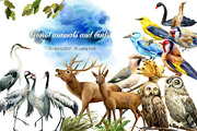 Forest deer and birds watercolor