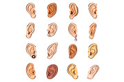 Ear vector human eardrum ear rope