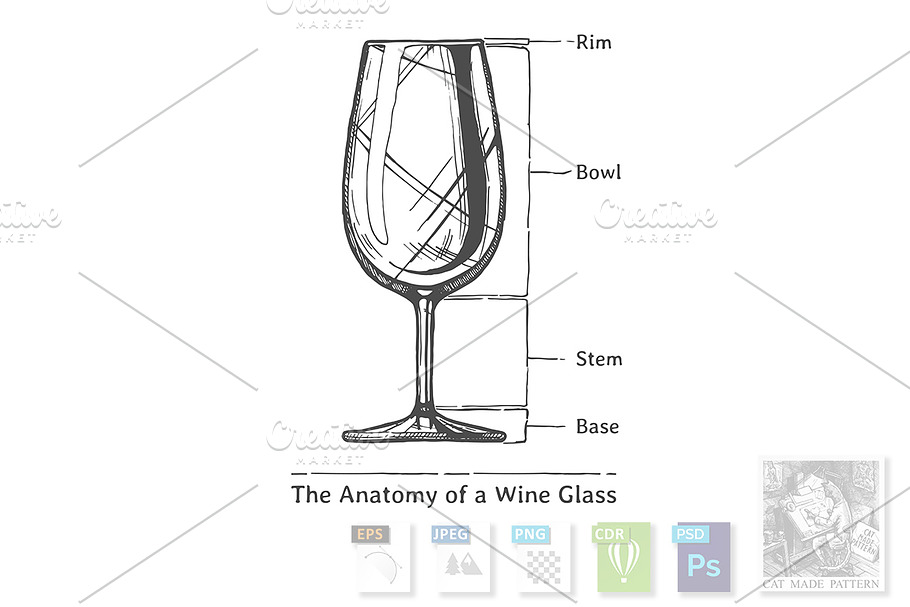 Infographic of Wine Glass in Illustrations - product preview 8