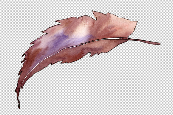 Sweet chestnut PNG watercolor leaves in Illustrations - product preview 2