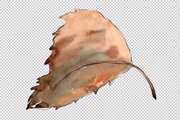 Sweet chestnut PNG watercolor leaves in Illustrations - product preview 5