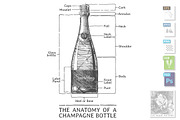 Hand drawn Illustration of Champagne