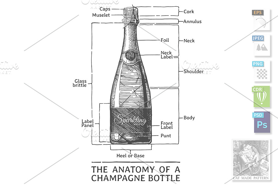 Hand drawn Illustration of Champagne