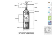 The Anatomy of a Wine Bottle