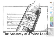 Wine Label Anatomy 