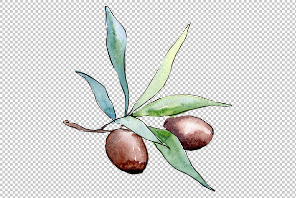 Watercolor olives PNG set in Illustrations - product preview 1
