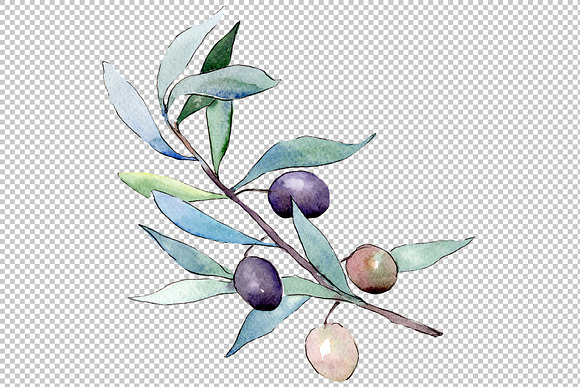 Watercolor olives PNG set in Illustrations - product preview 2