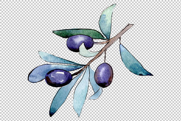 Watercolor olives PNG set in Illustrations - product preview 3