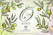 Olives vector EPS watercolor set  