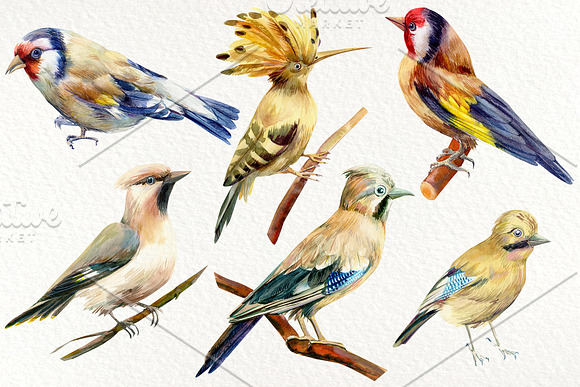 Forest deer and birds watercolor in Illustrations - product preview 3
