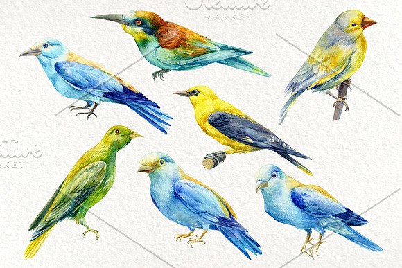 Forest deer and birds watercolor in Illustrations - product preview 4
