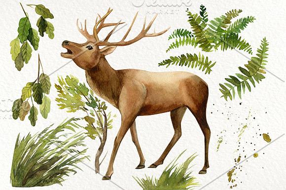 Forest deer and birds watercolor in Illustrations - product preview 5