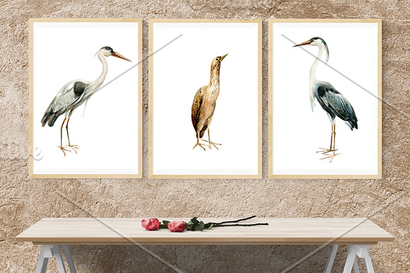 Forest deer and birds watercolor in Illustrations - product preview 7