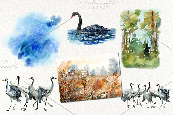 Forest deer and birds watercolor in Illustrations - product preview 8