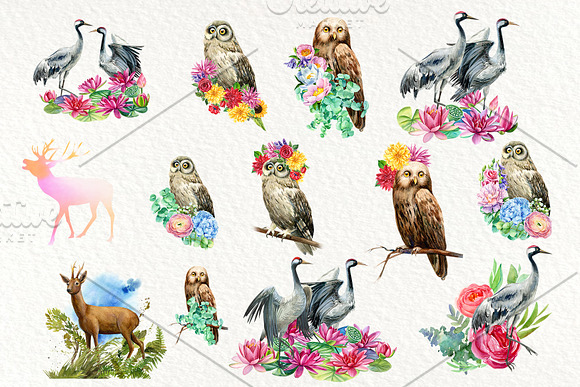 Forest deer and birds watercolor in Illustrations - product preview 12