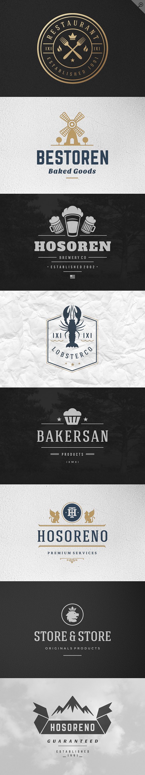 16 Vintage Logotypes or Badges in Logo Templates - product preview 2