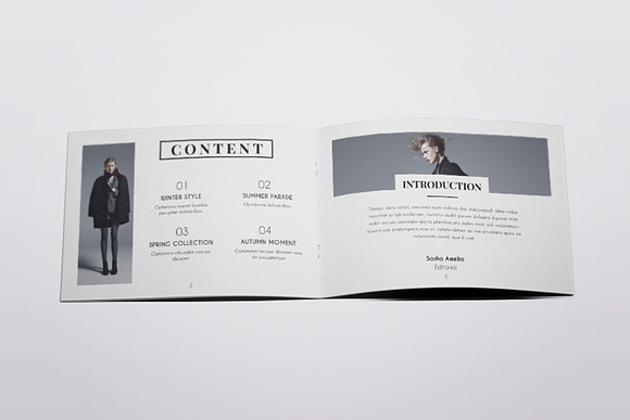 Dorothy - A5 Fashion Lookbook in Brochure Templates - product preview 1