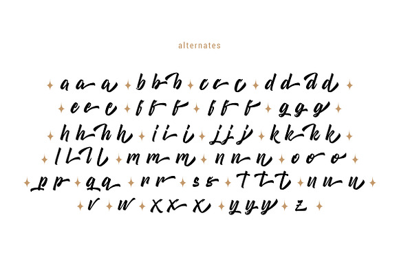 Boomerang Script  in Script Fonts - product preview 5