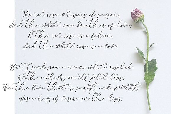 Beauty in Script Fonts - product preview 6