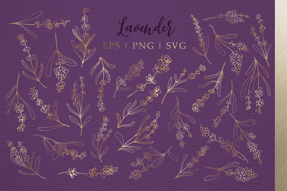 Lavender Fields watercolor & vector in Illustrations - product preview 2