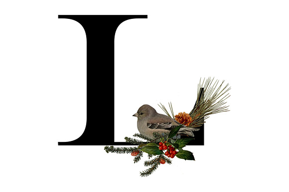 Christmas Alphabet in Objects - product preview 11