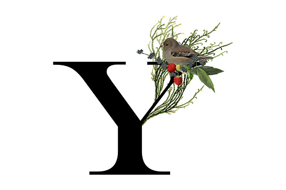 Christmas Alphabet in Objects - product preview 24