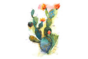 Watercolor hand drawn spiky cactus