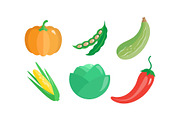 Collection of vegetables, pumpkin