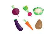 Collection of vegetables, beetroot