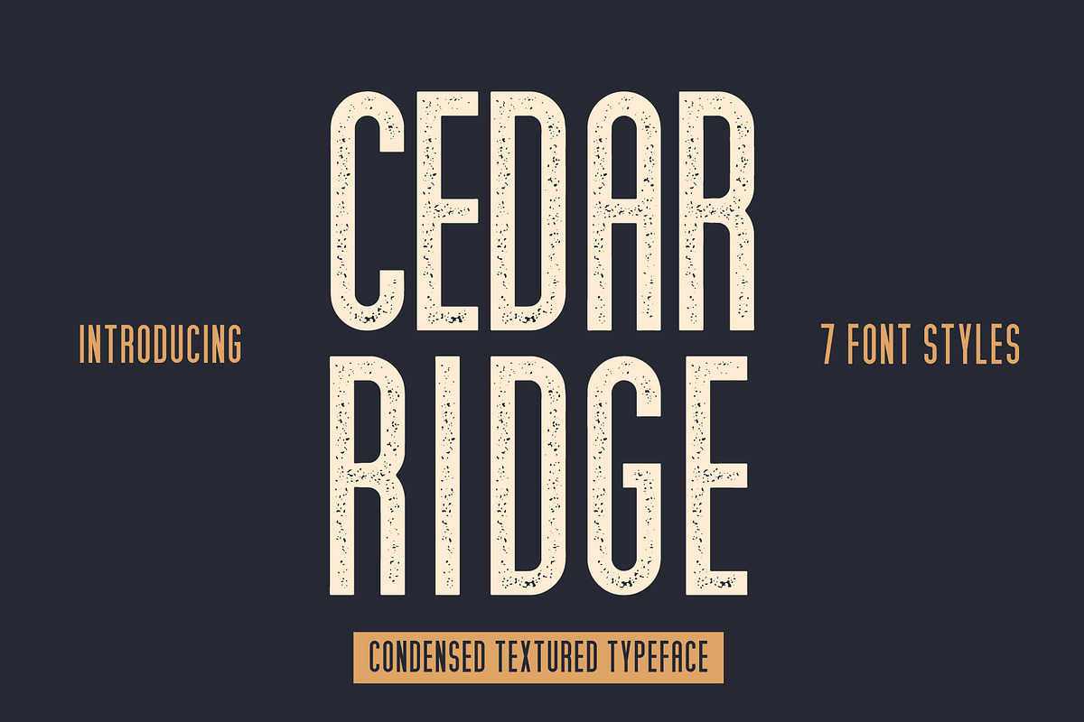 Cedar Ridge, 7 Styles! in Sans-Serif Fonts - product preview 8
