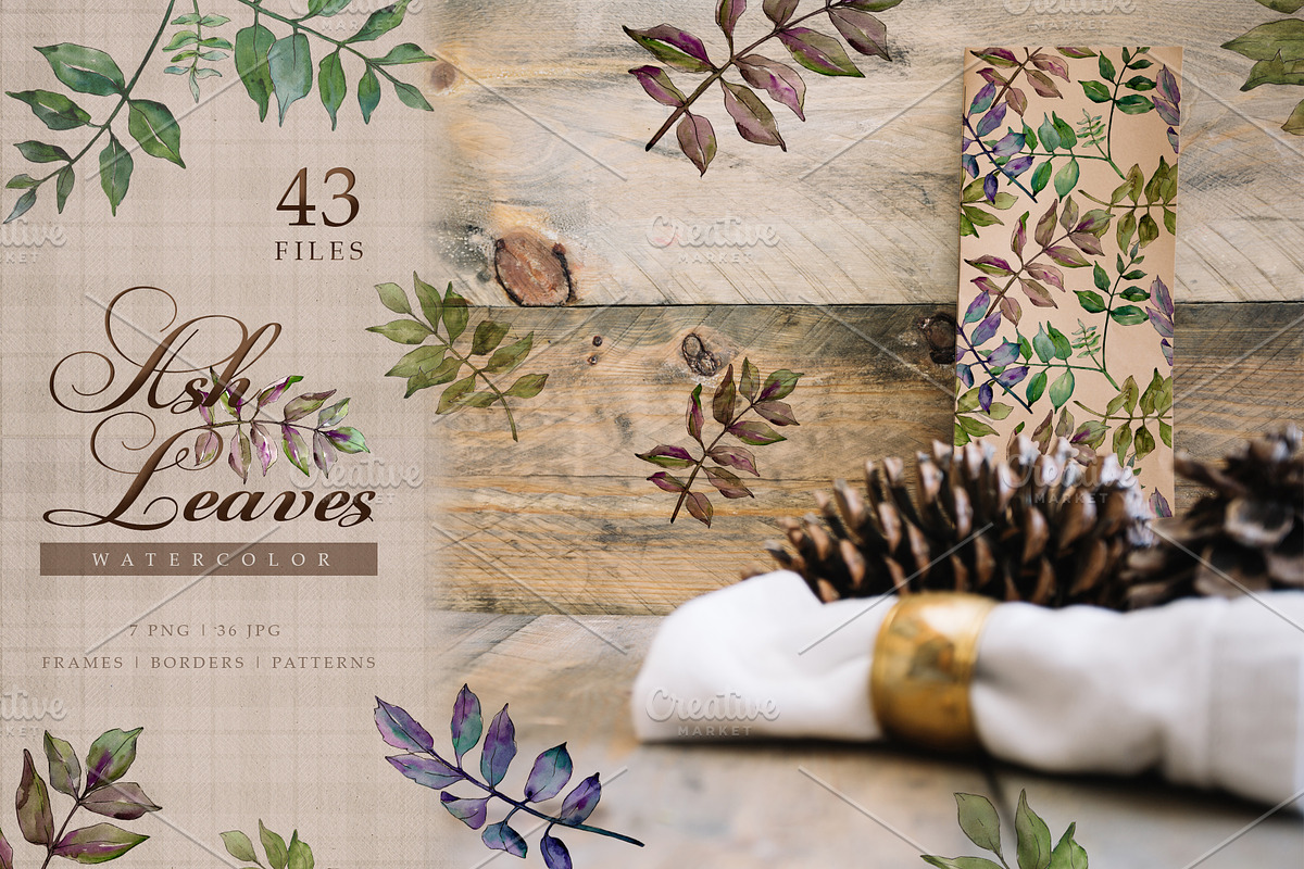 Ash leaves PNG watercolor set in Illustrations - product preview 8