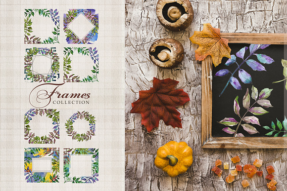 Ash leaves PNG watercolor set in Illustrations - product preview 5