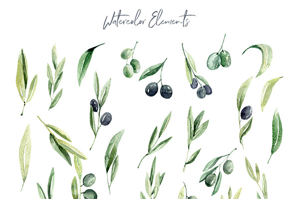Watercolor Olive branches
