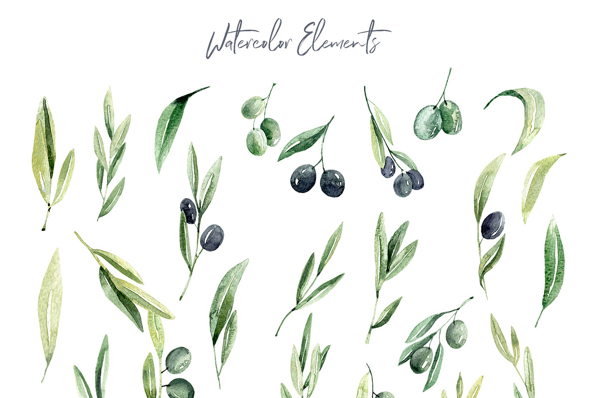 Watercolor Olive branches in Illustrations - product preview 8