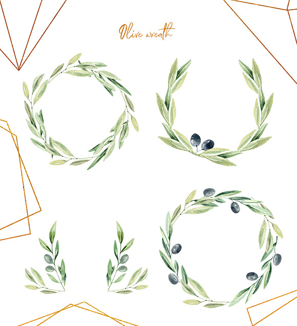 Watercolor Olive branches in Illustrations - product preview 3