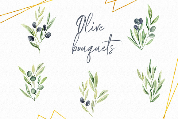 Watercolor Olive branches in Illustrations - product preview 4
