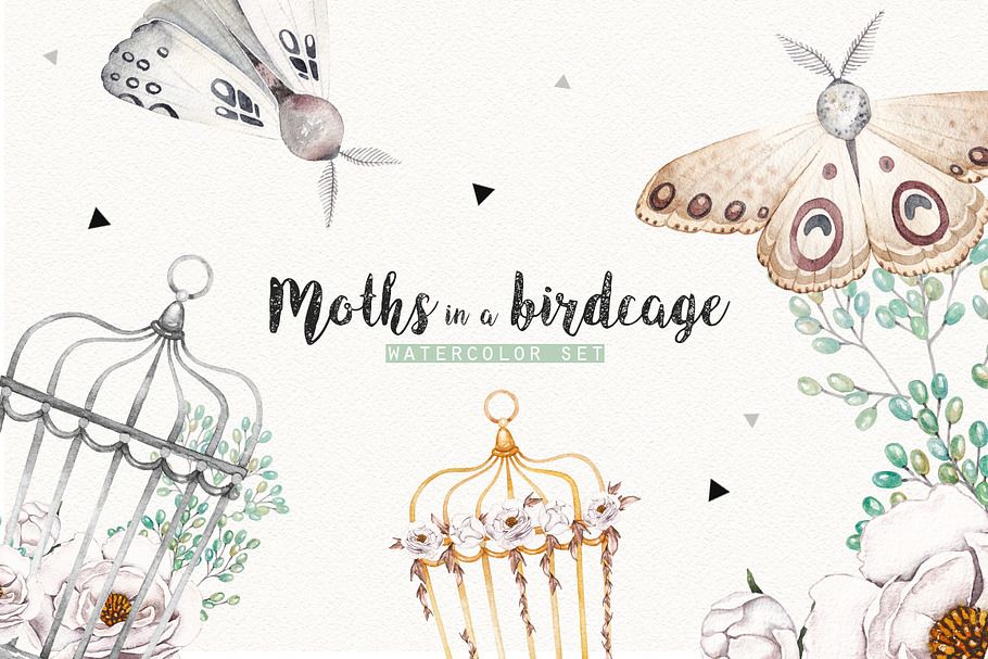 MOTHS and BIRDCAGE watercolor set in Illustrations - product preview 8