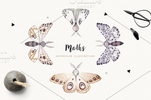 MOTHS and BIRDCAGE watercolor set in Illustrations - product preview 1