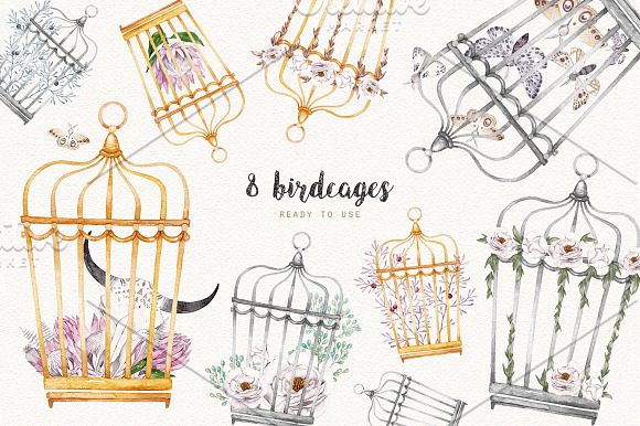 MOTHS and BIRDCAGE watercolor set in Illustrations - product preview 5