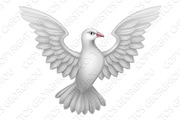 White Dove Concept