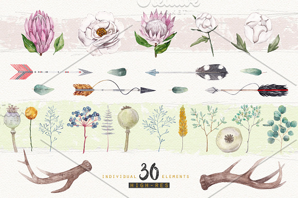 BOHO FLOWERS watercolor set in Illustrations - product preview 3