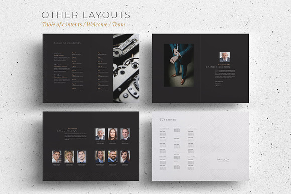 Luxury Brochure Catalog in Brochure Templates - product preview 11