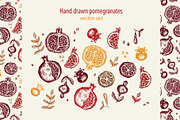 Hand drawing Pomegranate