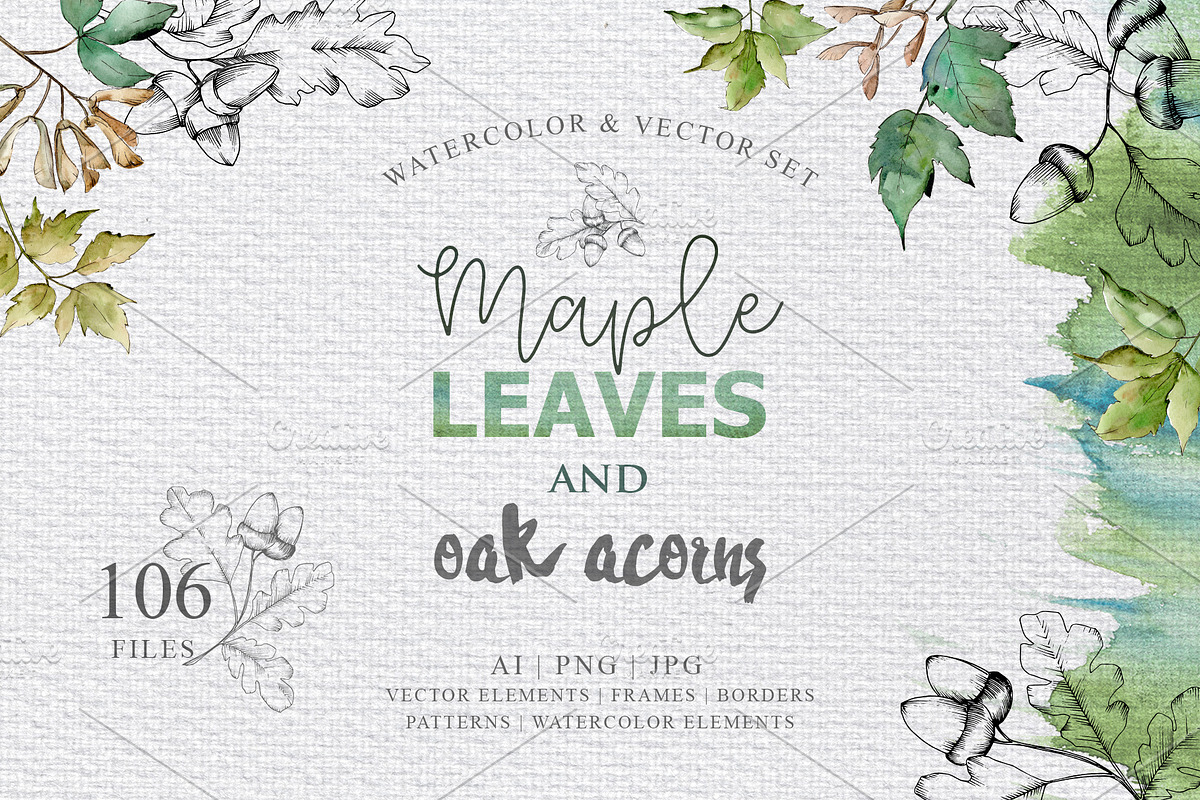 Maple leaves and oak acorns set in Illustrations - product preview 8
