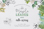 Maple leaves and oak acorns set