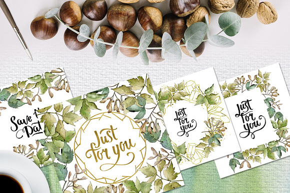 Maple leaves and oak acorns set in Illustrations - product preview 1