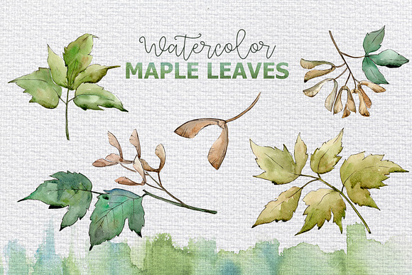 Maple leaves and oak acorns set in Illustrations - product preview 4