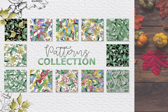 Maple leaves and oak acorns set in Illustrations - product preview 7