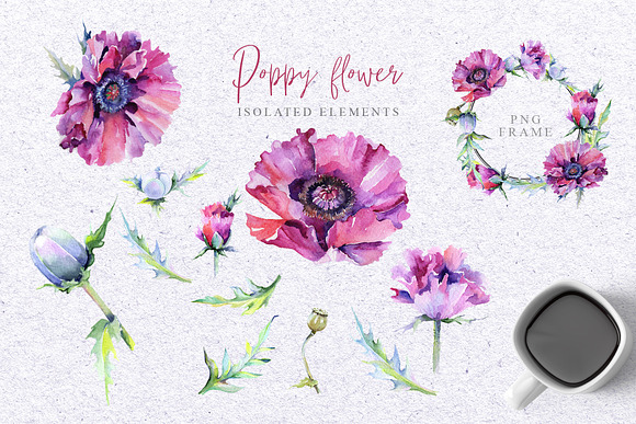 Pink poppy flower PNG watercolor set in Illustrations - product preview 6